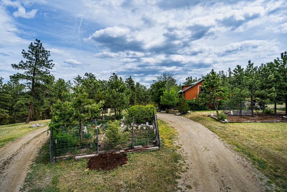 Print Image